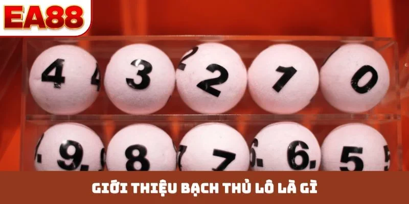 Bạch Thủ Lô EA88 - Bí Quyết Soi Cầu Chuẩn Xác 100% - JOKITA