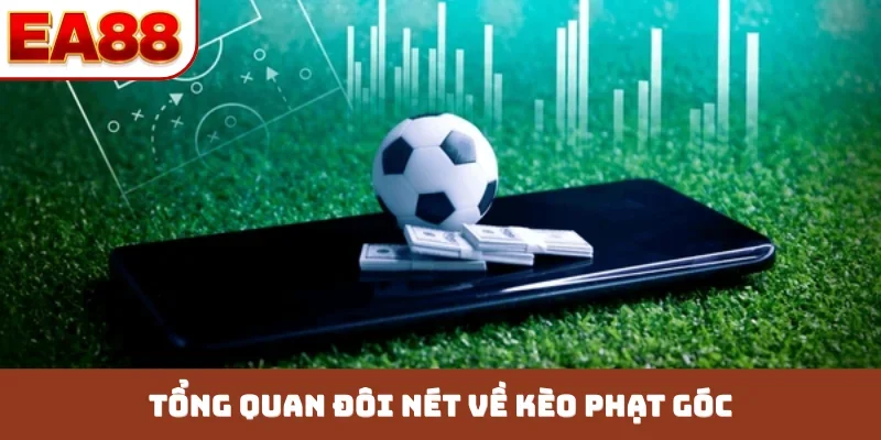 Kèo Phạt Góc - 3 Mẹo Soi Kèo Chuẩn Từ Chuyên Gia Bóng Đá - JOKITA